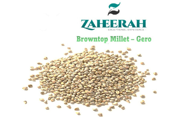 Browntop Millet - Gero (100kg/bag)