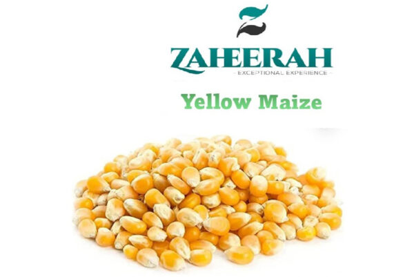 Yellow Maize (100kg/bag)